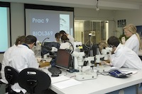 Undergraduate Practical Biological Sciences 369. Photo by Effy Alexakis, Photowrite.